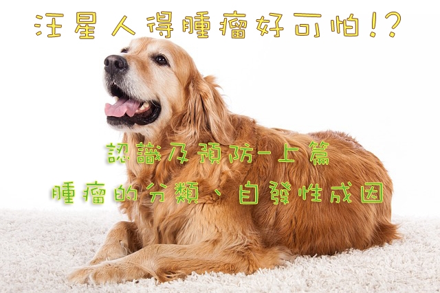 寵物, 健康, 腫瘤, 癌症, 認識
