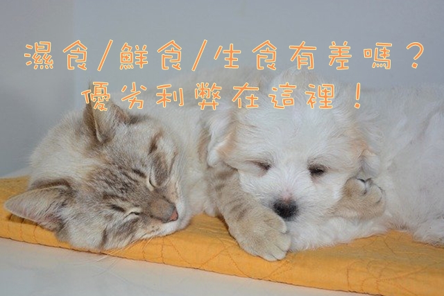 寵物, 濕食, 罐頭, 鮮食, 生食