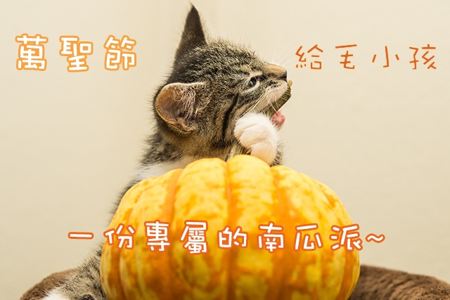 萬聖節給毛小孩一份專屬的南瓜派~寵物, 飲食, 鮮食, 萬聖節, 南瓜
